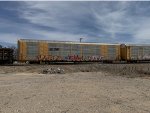 TTGX 691508